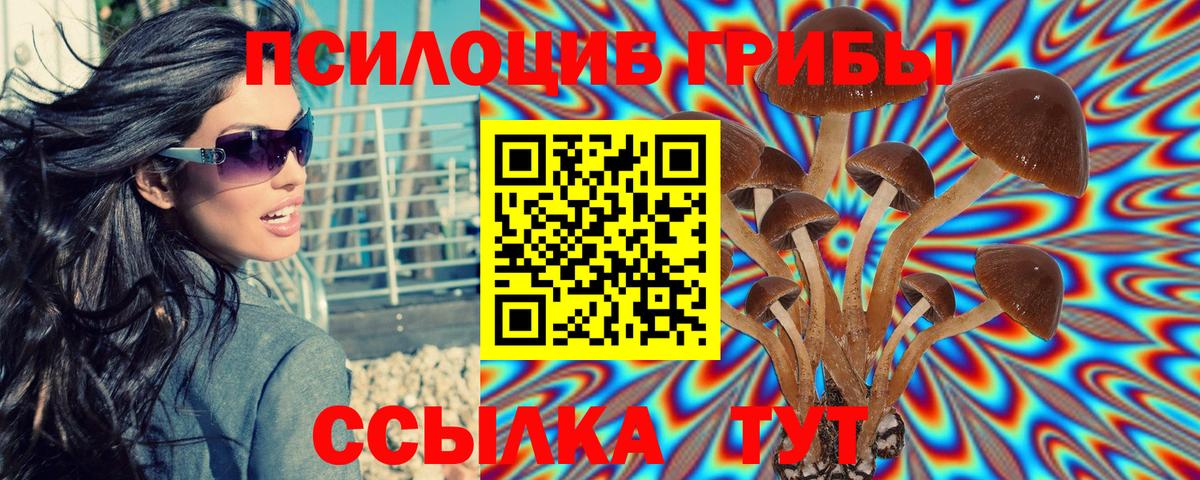 Псилоцибиновые грибы Psilocybe  Вход с VPN  Кизилюрт 